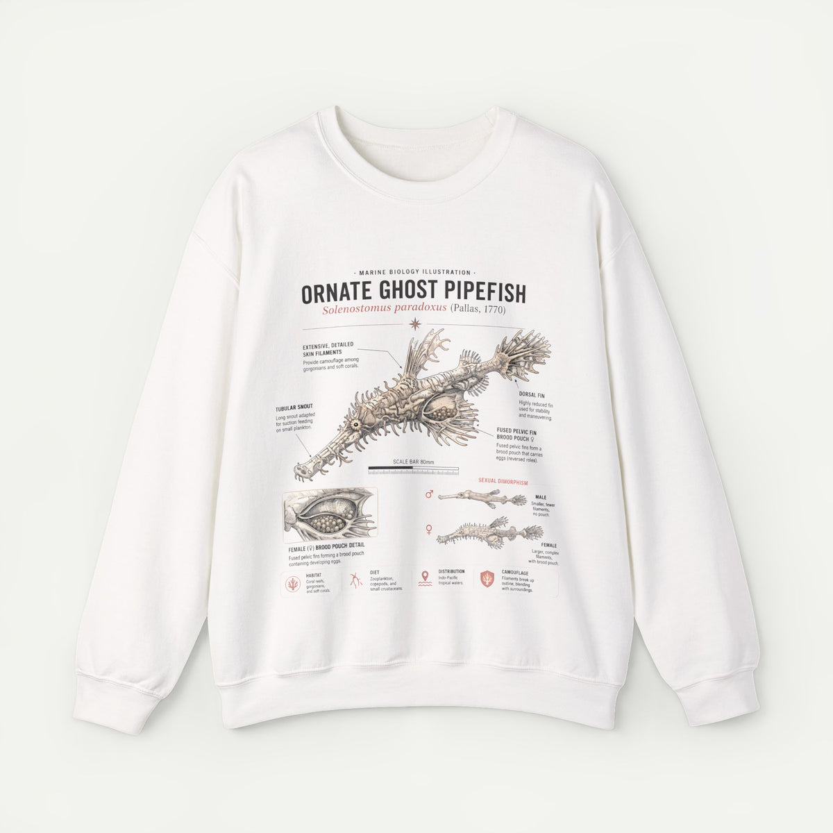 Ornate Ghost Pipefish Anatomy Sweatshirt