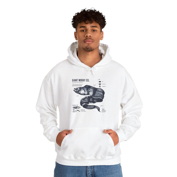 Sea Snake Diagram Hoodie - Vintage Scientific Illustration Sweatshirt