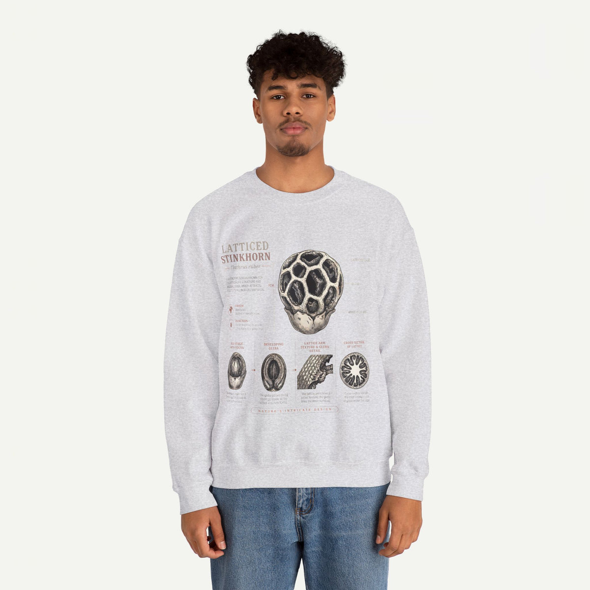 Mushroom Anatomy Sweatshirt – Latticeed Stinkhorn Mycology Crewneck