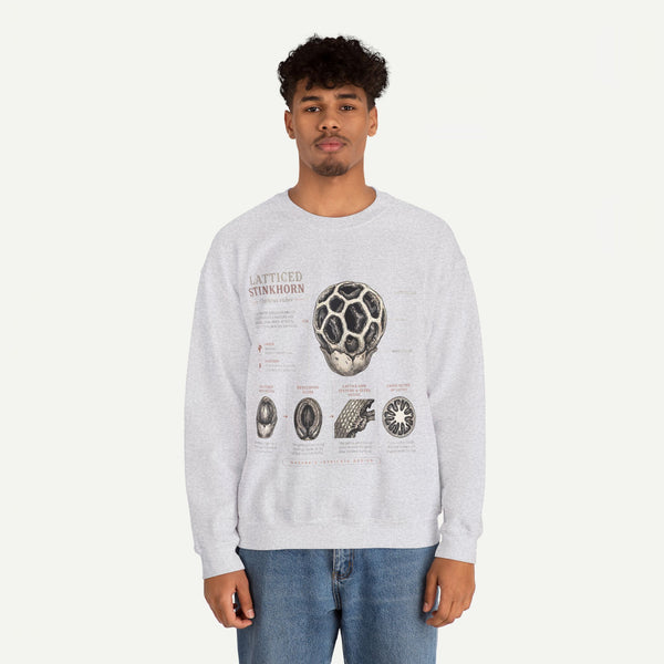 Mushroom Anatomy Sweatshirt – Latticeed Stinkhorn Mycology Crewneck