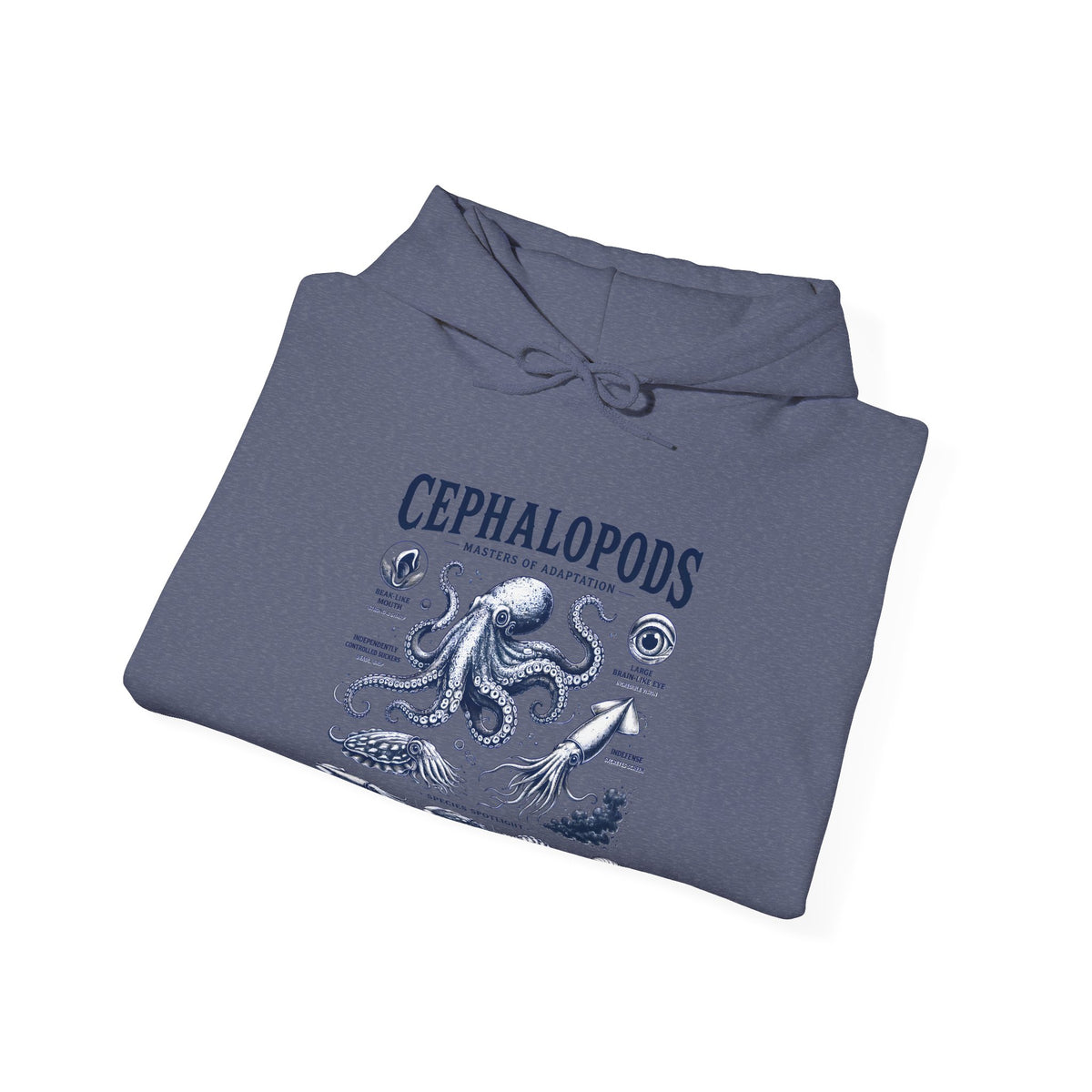 Cephalopods Hoodie — Vintage Marine Octopus Illustration Sweatshirt