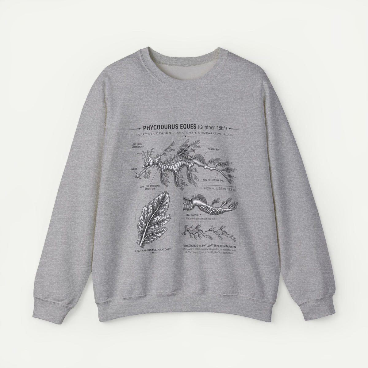 Botanical Anatomy Sweatshirt — Vintage Phycodurus Eques Seaweed Illustration Main image
