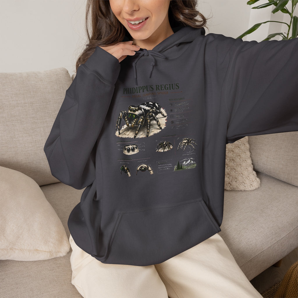 Tarantula Species Hoodie — Phidippus Regius Educational Spider Sweatshirt