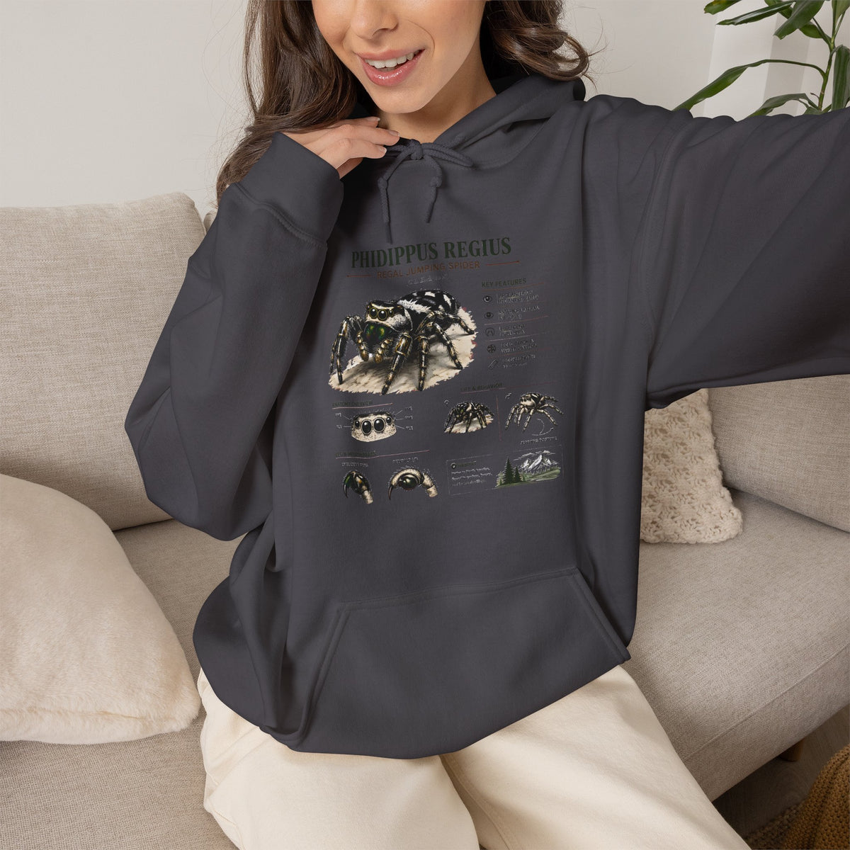 Tarantula Species Hoodie — Phidippus Regius Educational Spider Sweatshirt