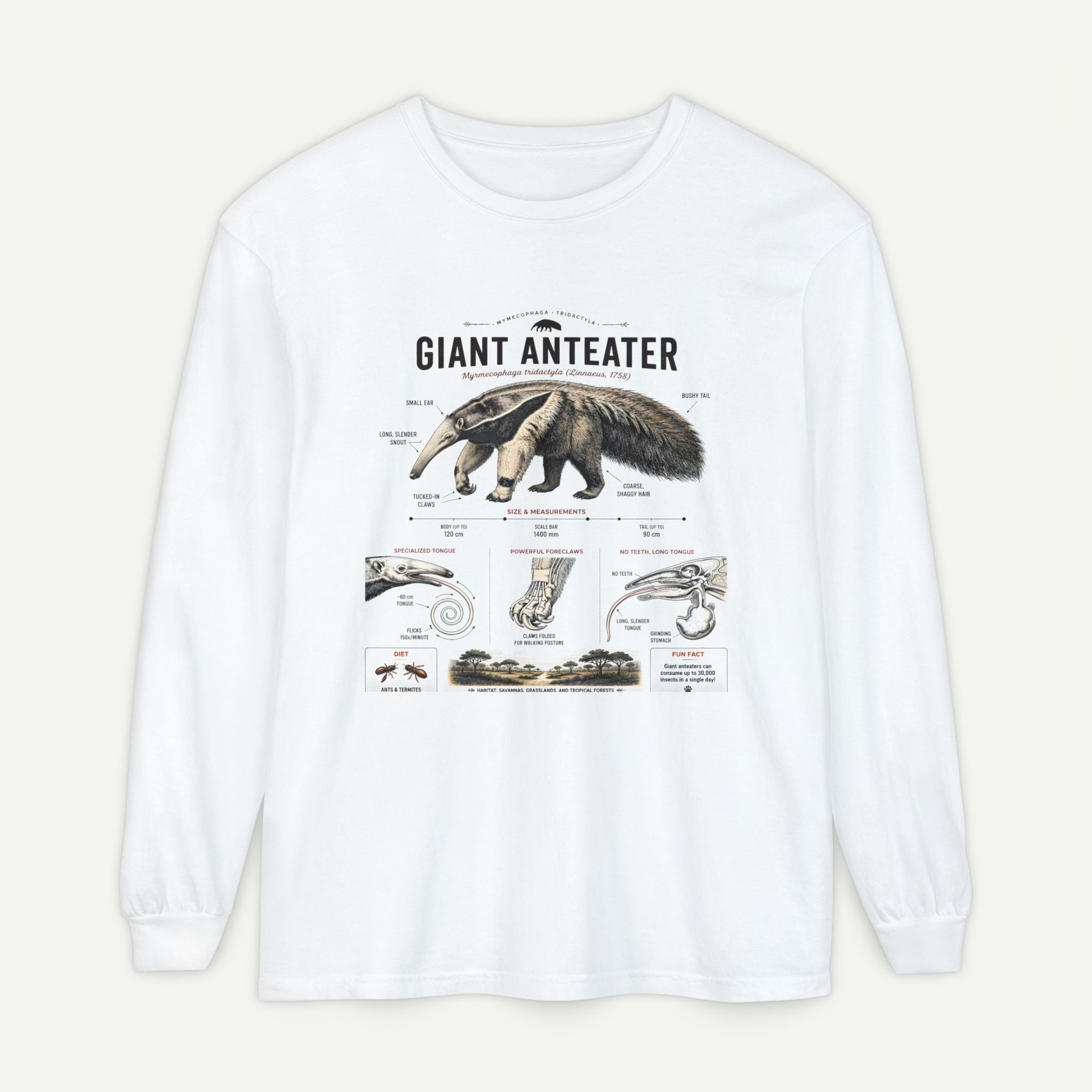 Giant Anteater Anatomy Long Sleeve Tee Secondary image
