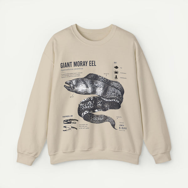 Giant Moray Eel Anatomy Sweatshirt