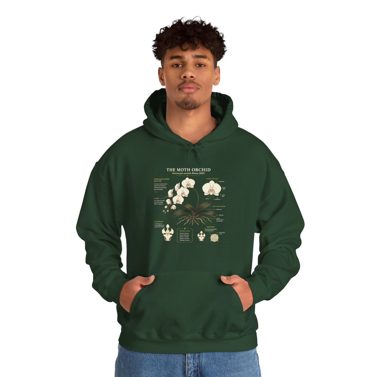 Botanical Orchid Anatomy Hoodie — Vintage Plant Illustration Sweatshirt