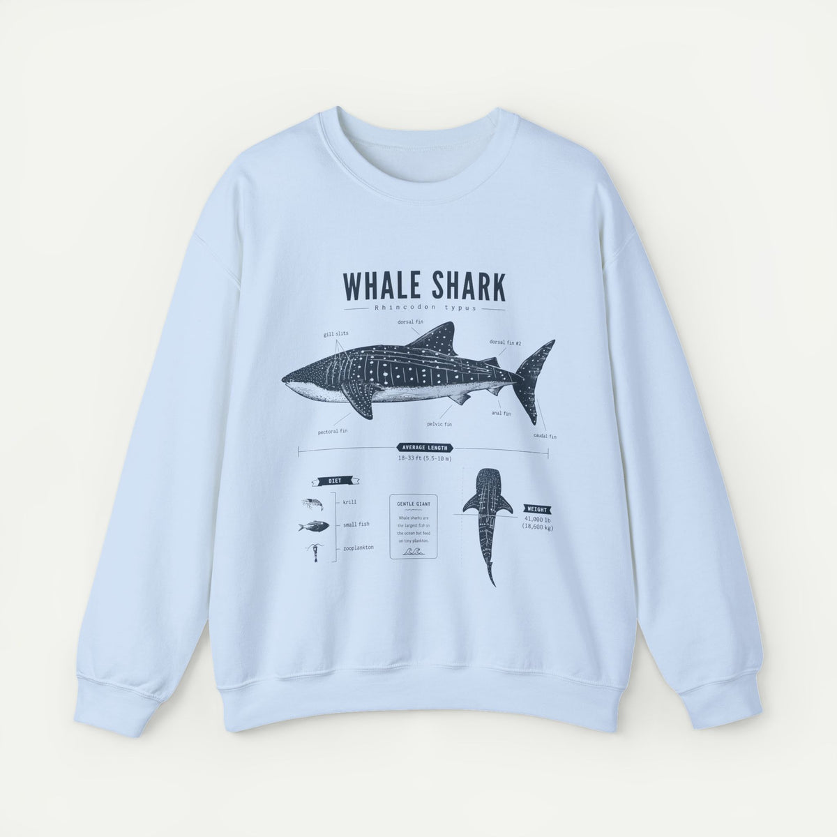 Whale Shark Anatomy Sweatshirt — Marine Life Illustration Crewneck
