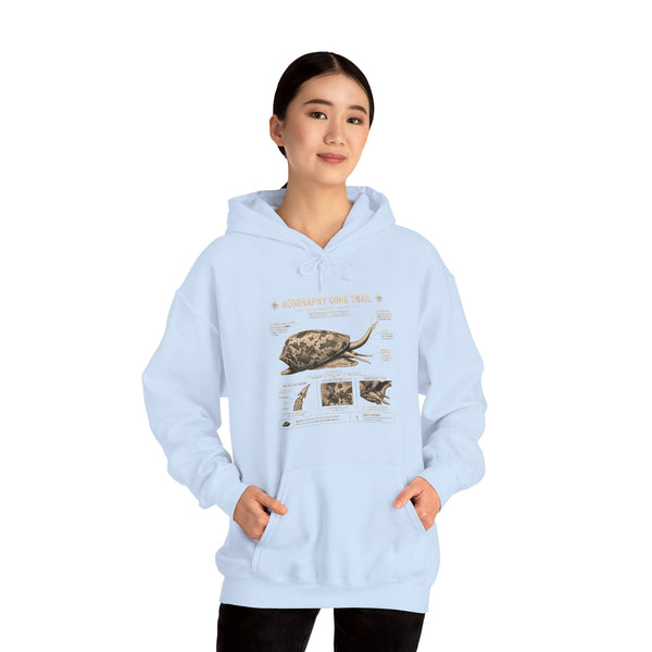 Turtle Anatomy Hoodie — Vintage Sea Turtle Illustration, "Be Different, Embrace Your Shell" Sweatshirt