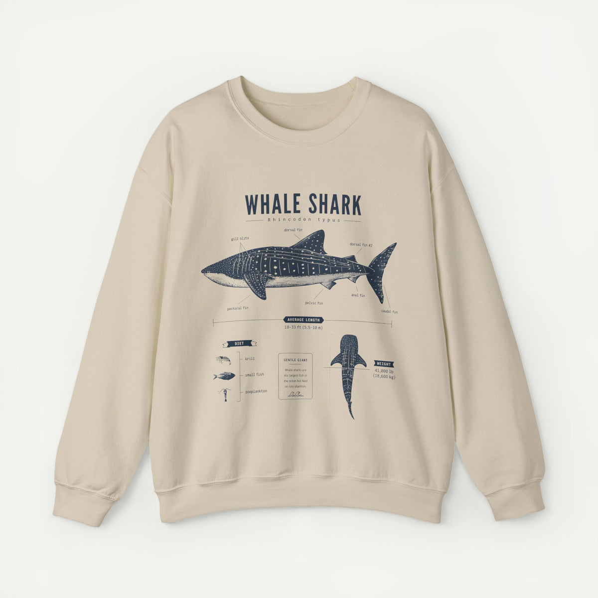 Whale Shark Anatomy Sweatshirt — Marine Life Illustration Crewneck