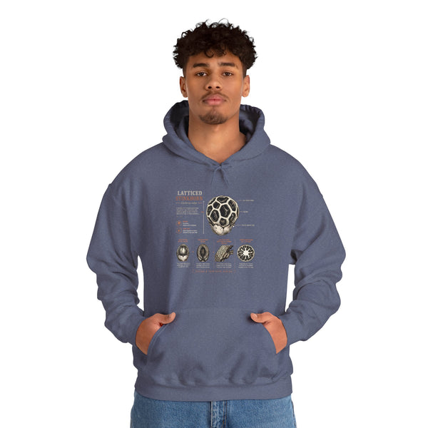 Hoodie — Mushroom Anatomy Chart Graphic Hoodie