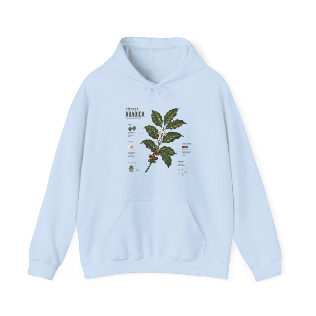 Coffee Plant Hoodie — Coffea Arabica Botanical Illustration Sweatshirt