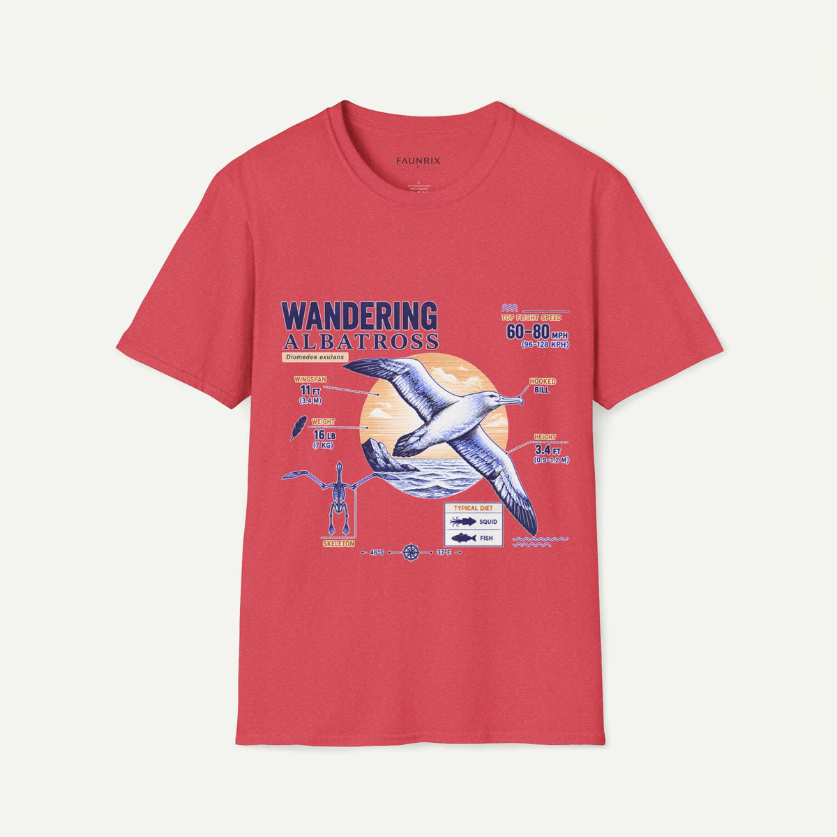 Wandering Albatross Anatomy T-Shirt — Vintage Seabird Graphic Tee