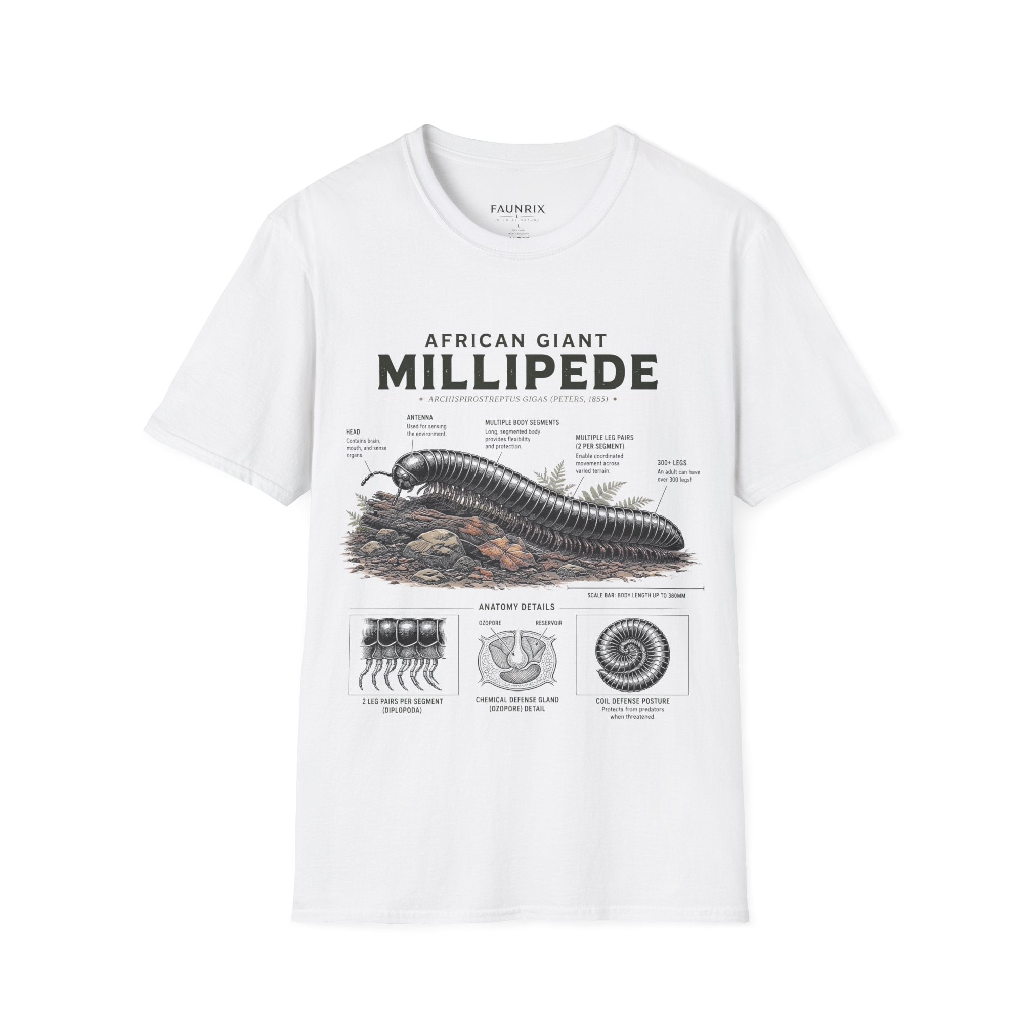 Millipede Anatomy T-Shirt — 'African Giant Millipede' Scientific Graphic Tee Secondary image