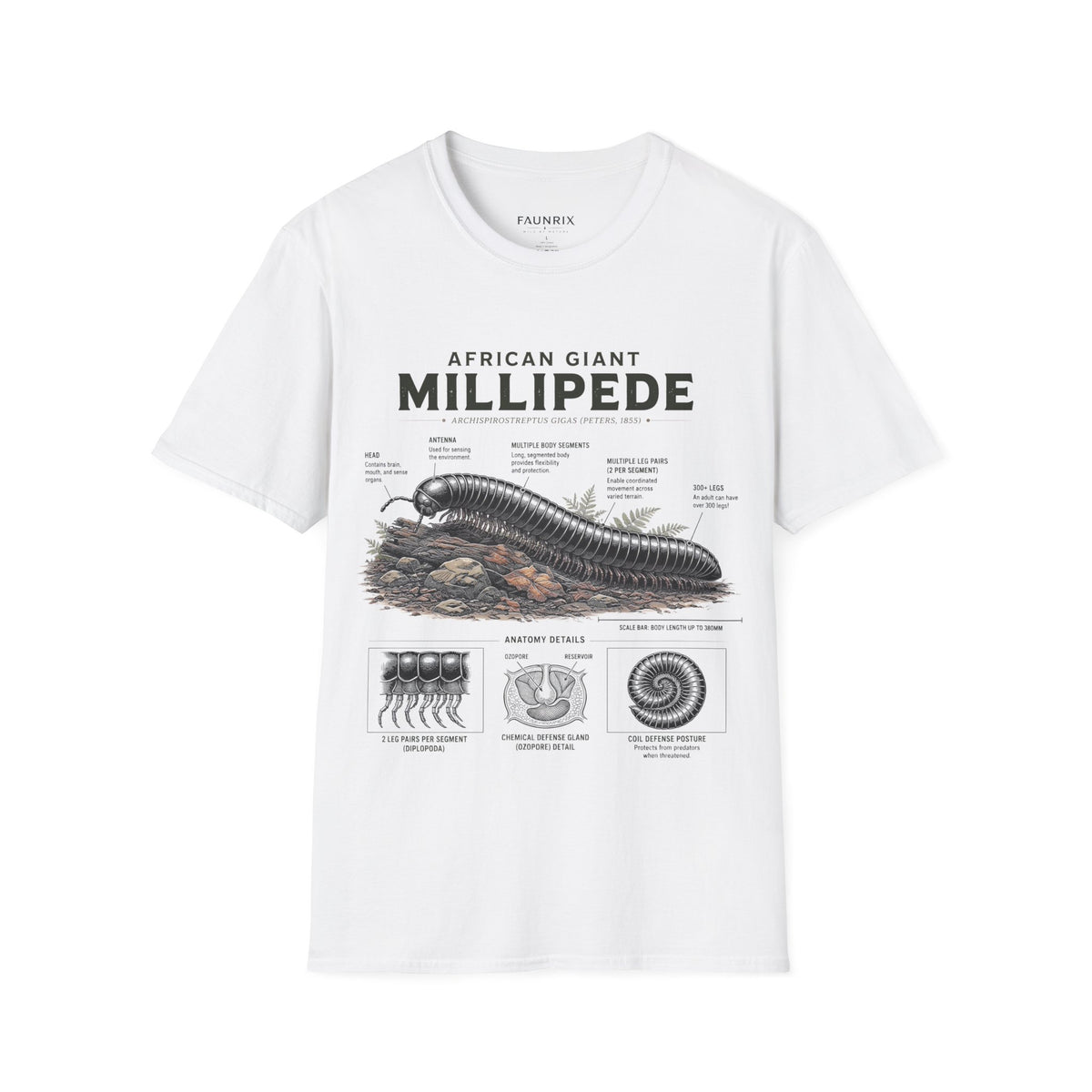 Millipede Anatomy T-Shirt — 'African Giant Millipede' Scientific Graphic Tee
