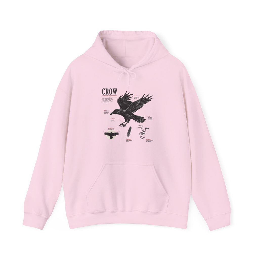 Crow Anatomy Hoodie — Vintage Raven Diagram Hooded Sweatshirt