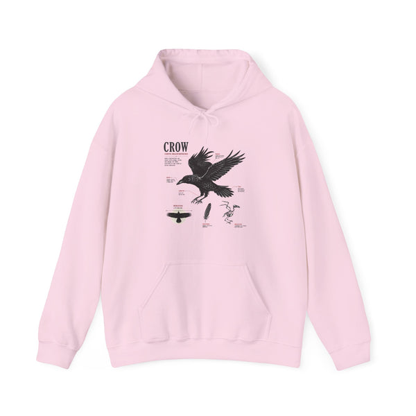 Crow Anatomy Hoodie — Vintage Raven Diagram Hooded Sweatshirt