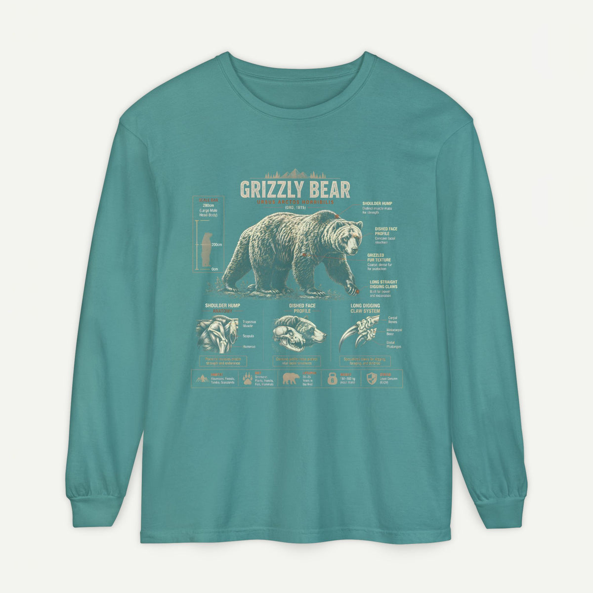Grizzly Bear Anatomy Long Sleeve T‑Shirt Main image