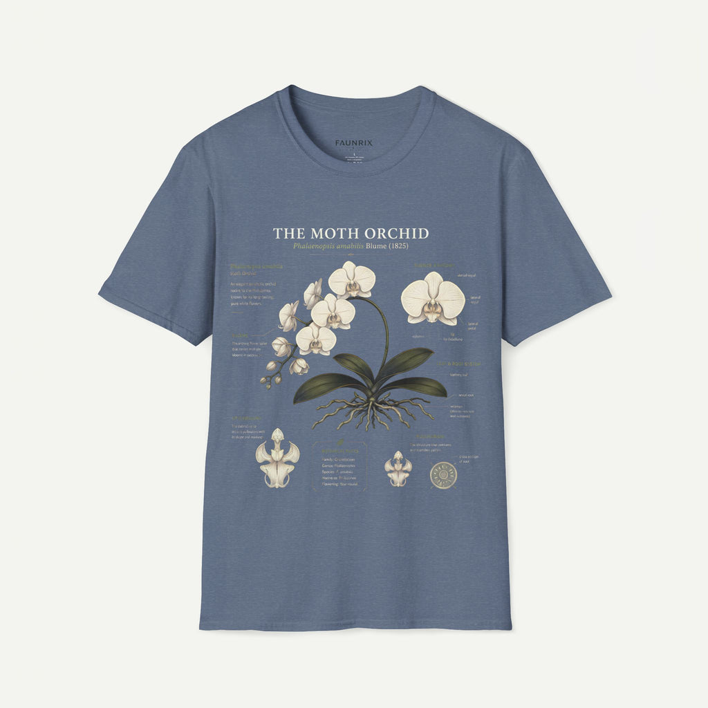 Moth Orchid Anatomy T‑Shirt — Elegant White Phalaenopsis Floral Tee