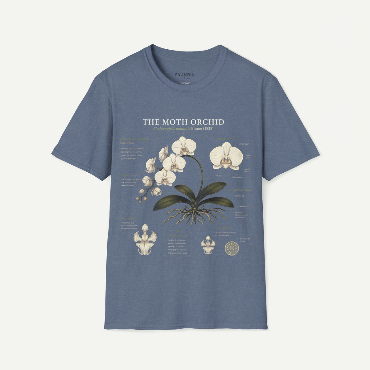 Moth Orchid Anatomy T‑Shirt — Elegant White Phalaenopsis Floral Tee