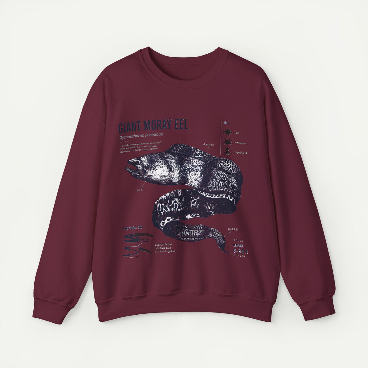 Giant Moray Eel Anatomy Sweatshirt