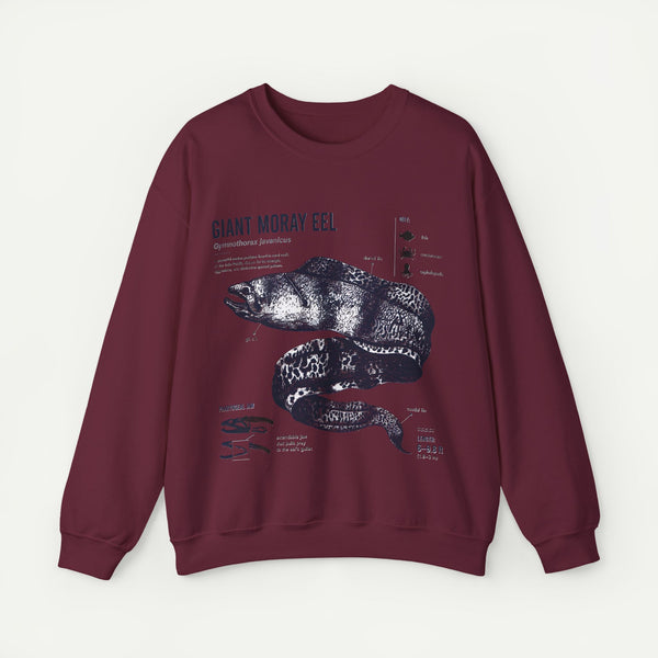 Giant Moray Eel Anatomy Sweatshirt