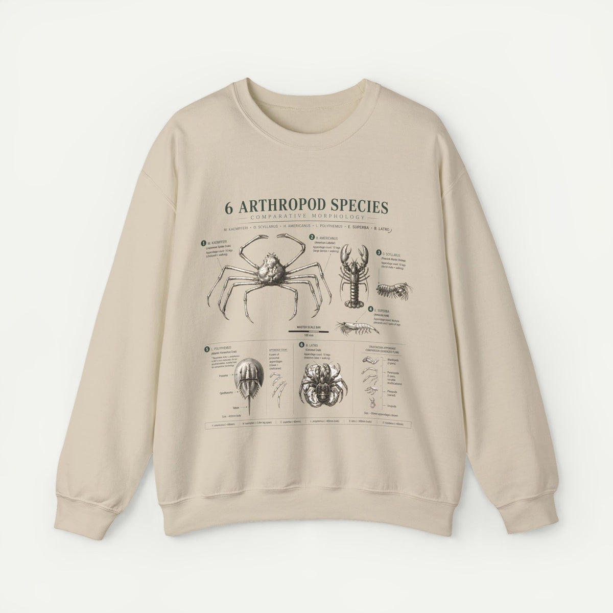 Arthropod Species Diagram Sweatshirt — Vintage Scientific Illustration Crewneck Main image