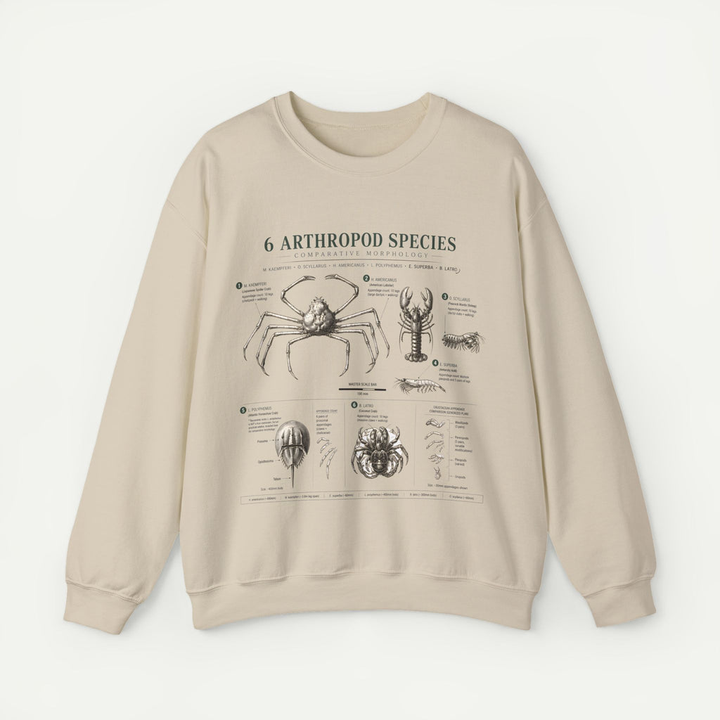 Arthropod Species Diagram Sweatshirt — Vintage Scientific Illustration Crewneck
