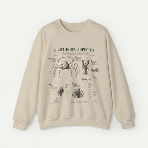Arthropod Species Diagram Sweatshirt — Vintage Scientific Illustration Crewneck