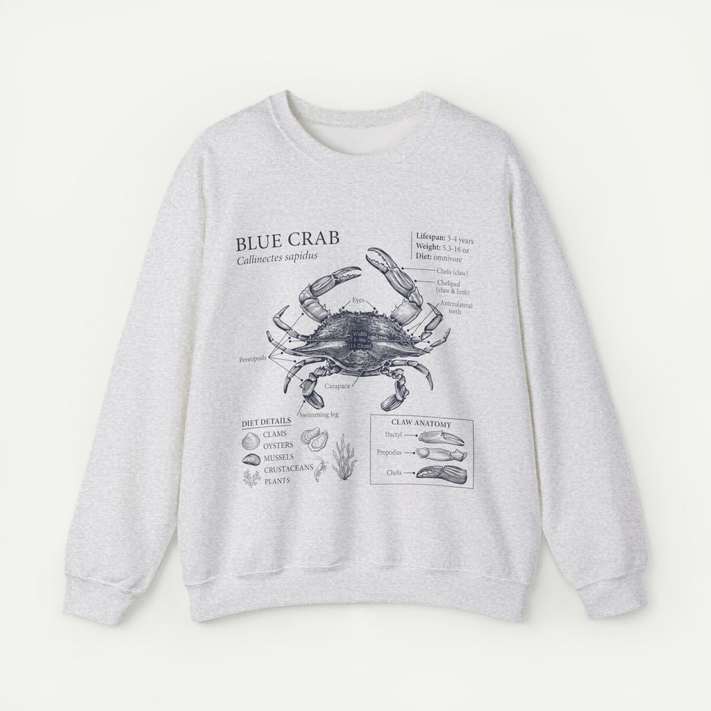 Blue Crab Anatomy Crewneck Sweatshirt – Marine Biology Graphic Pullover