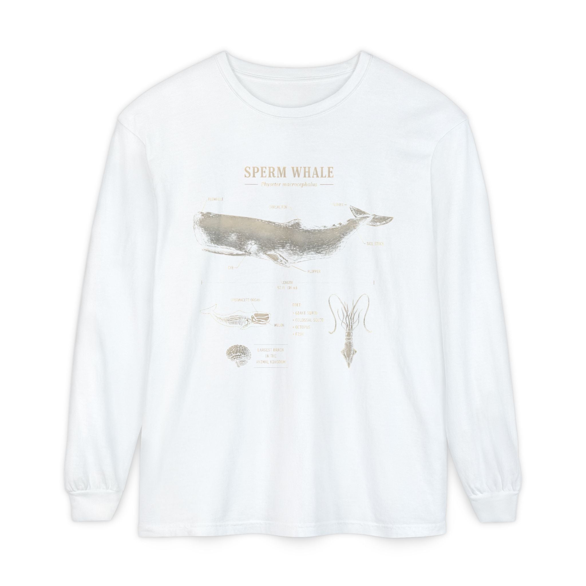 Sperm Whale Anatomy Long Sleeve Tee — Marine Life Graphic Shirt Secondary image