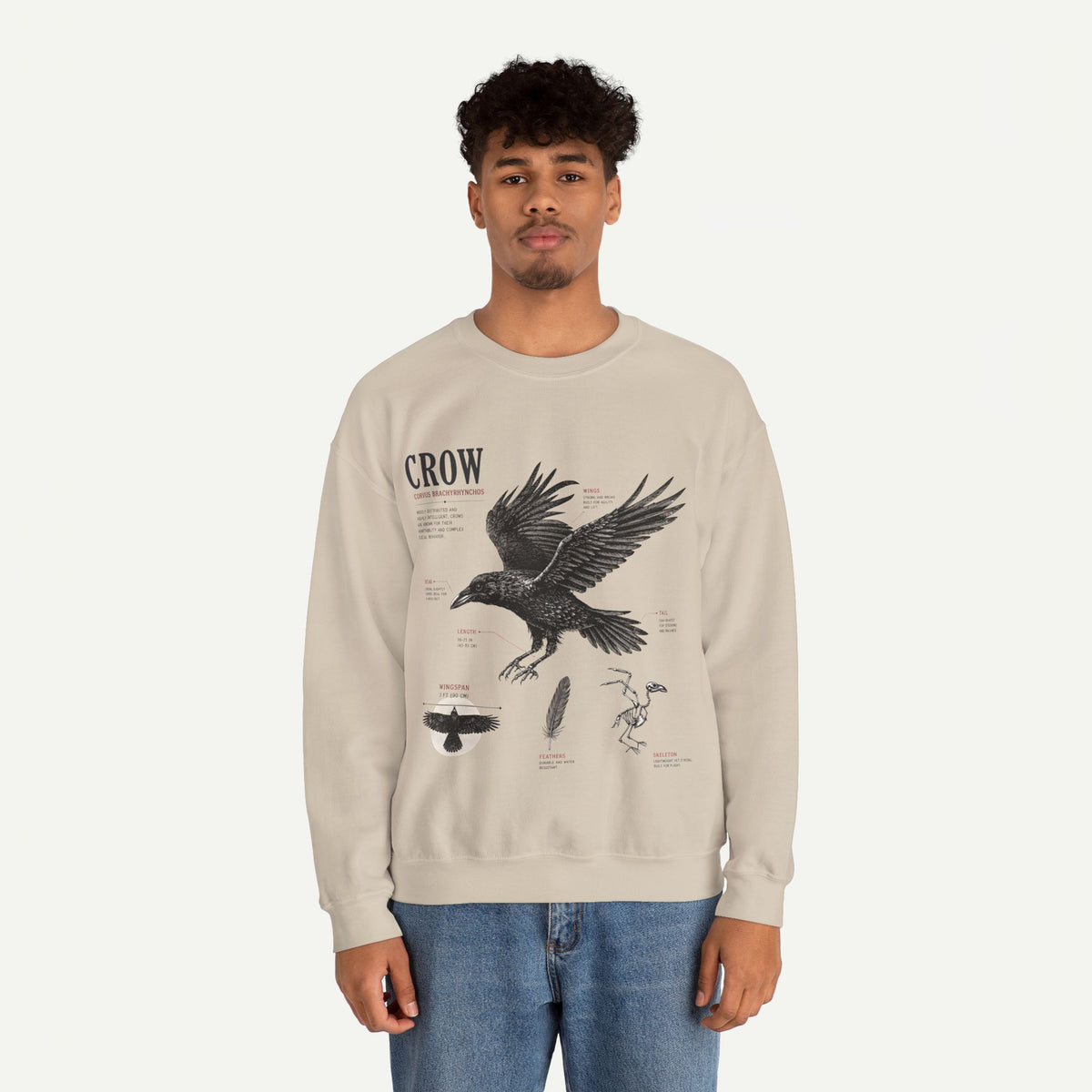 Crow Anatomy Sweatshirt
