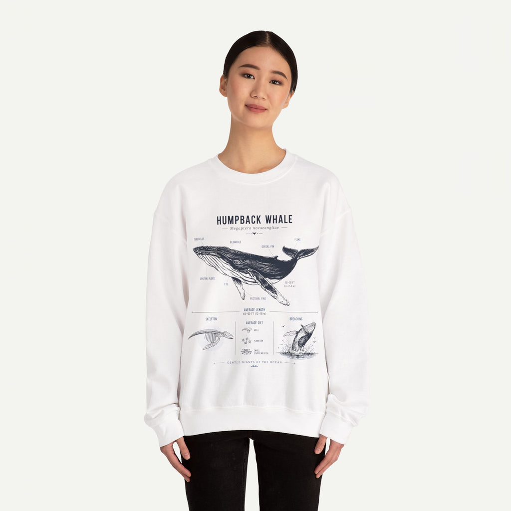 Humpback Whale Anatomy Sweatshirt