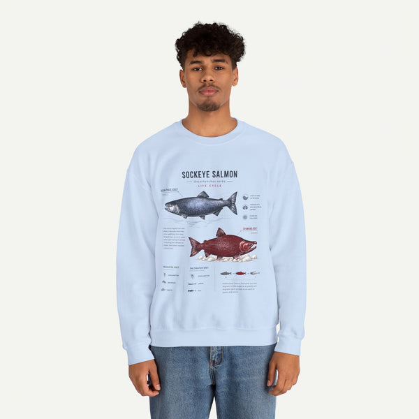 Sockeye Salmon Anatomy Sweatshirt — Fish Anatomy Graphic Crewneck
