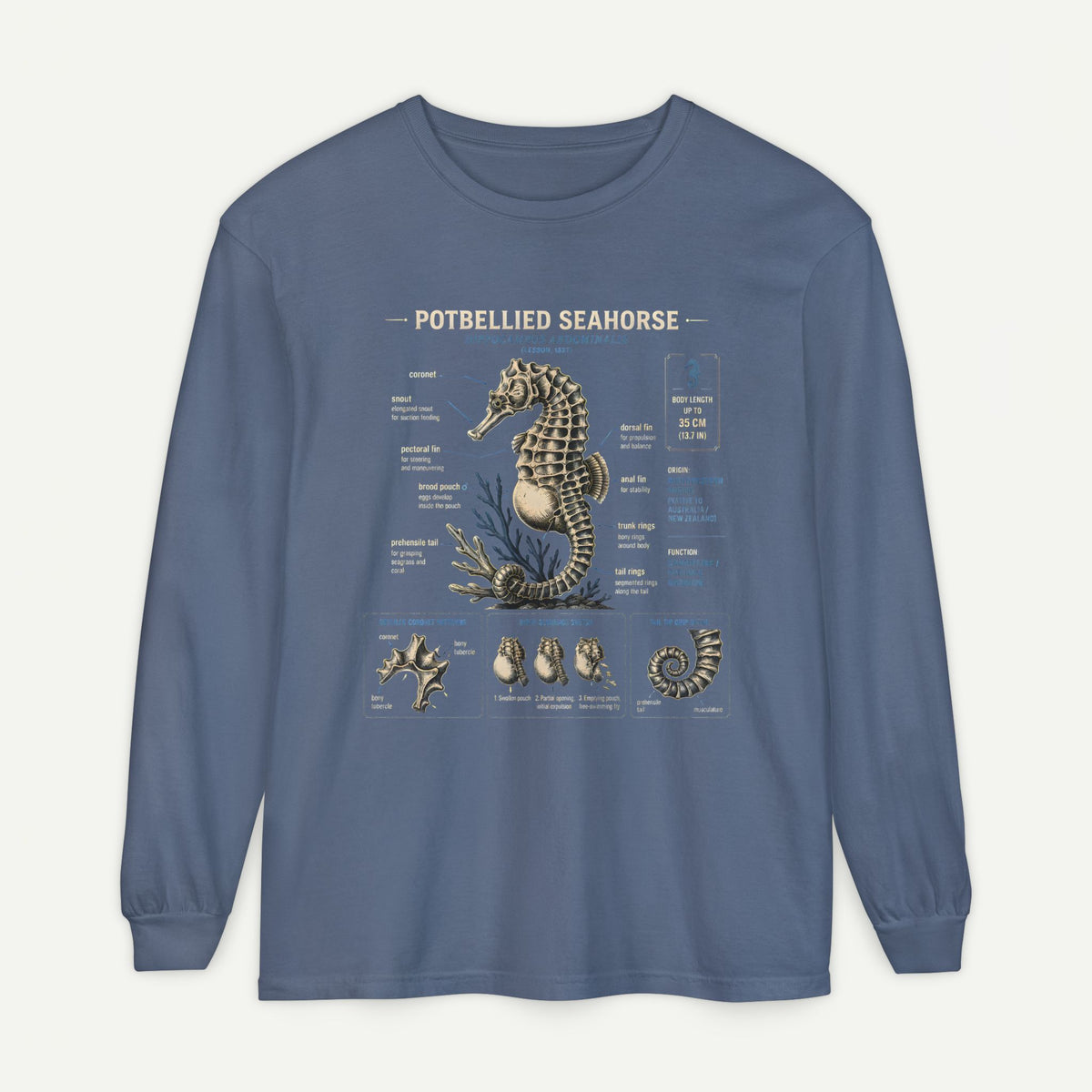 Seahorse Anatomy Long Sleeve Tee