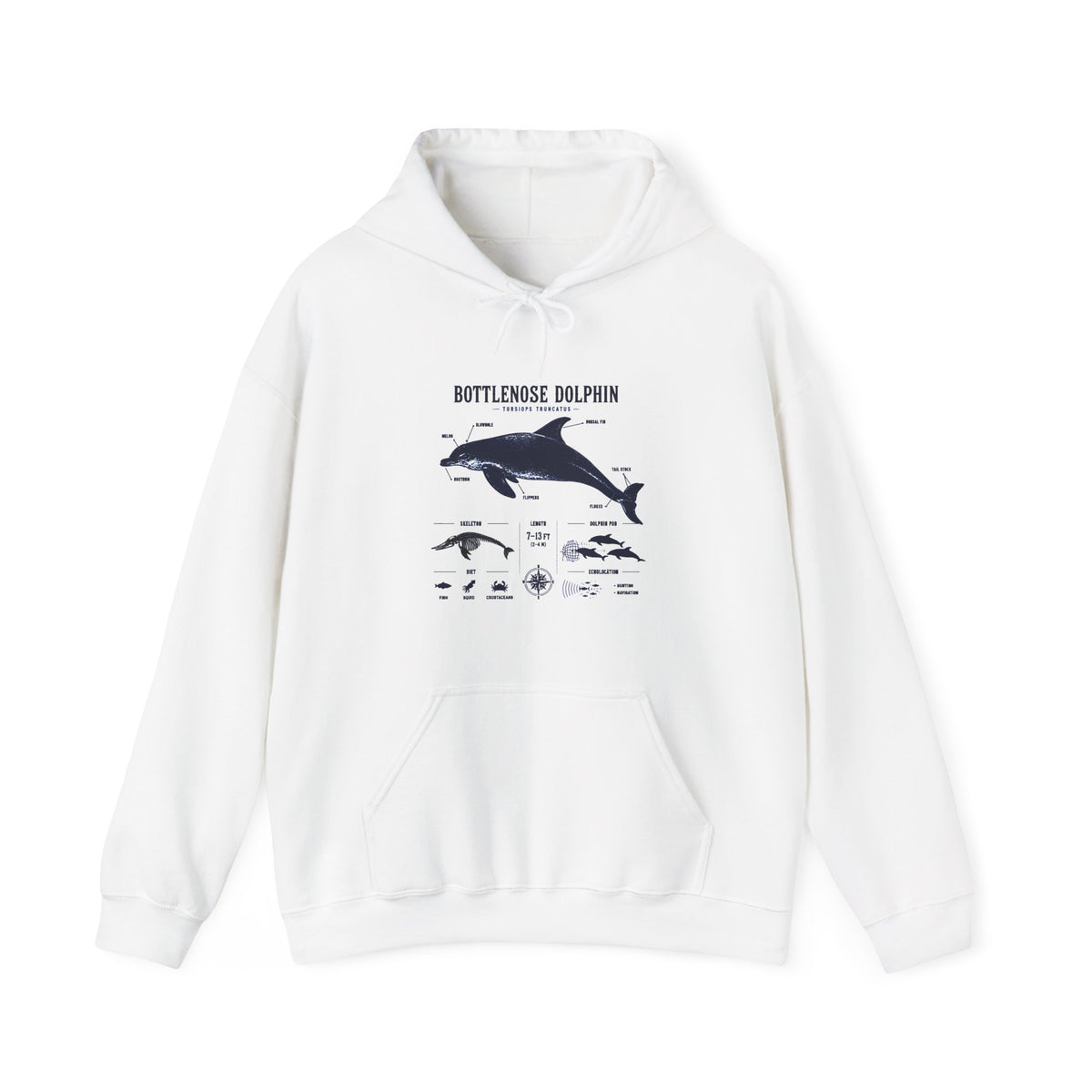 Bottlenose Dolphin Diagram Hoodie – Marine Life Anatomy Sweatshirt