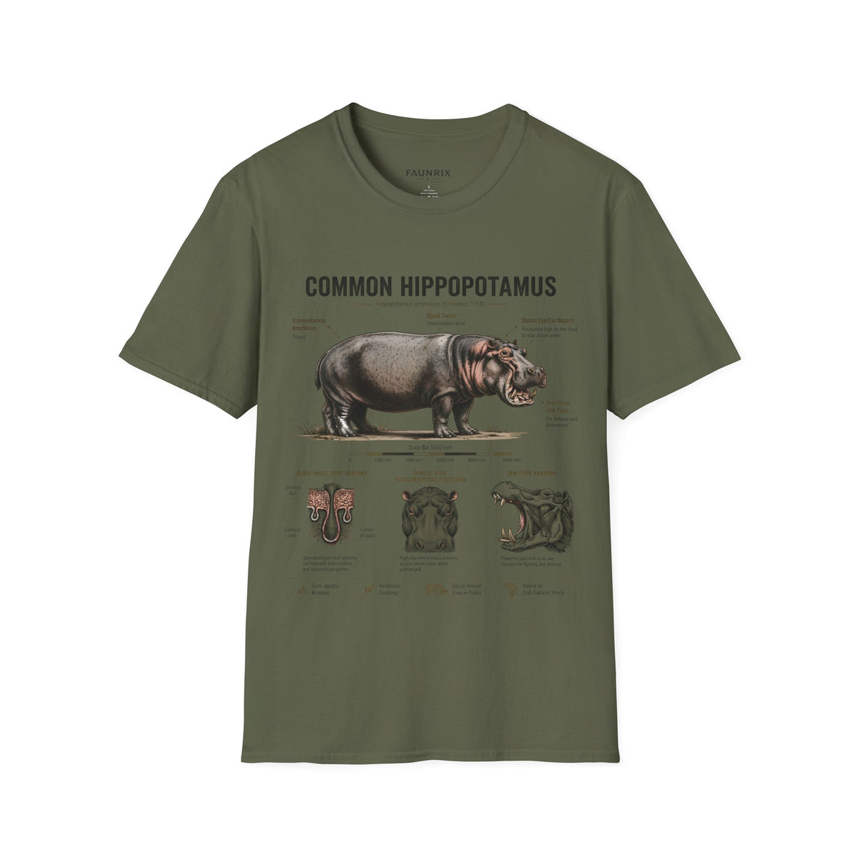 Common Hippopotamus Anatomy T-Shirt — Vintage Natural History Hippo Tee Main image