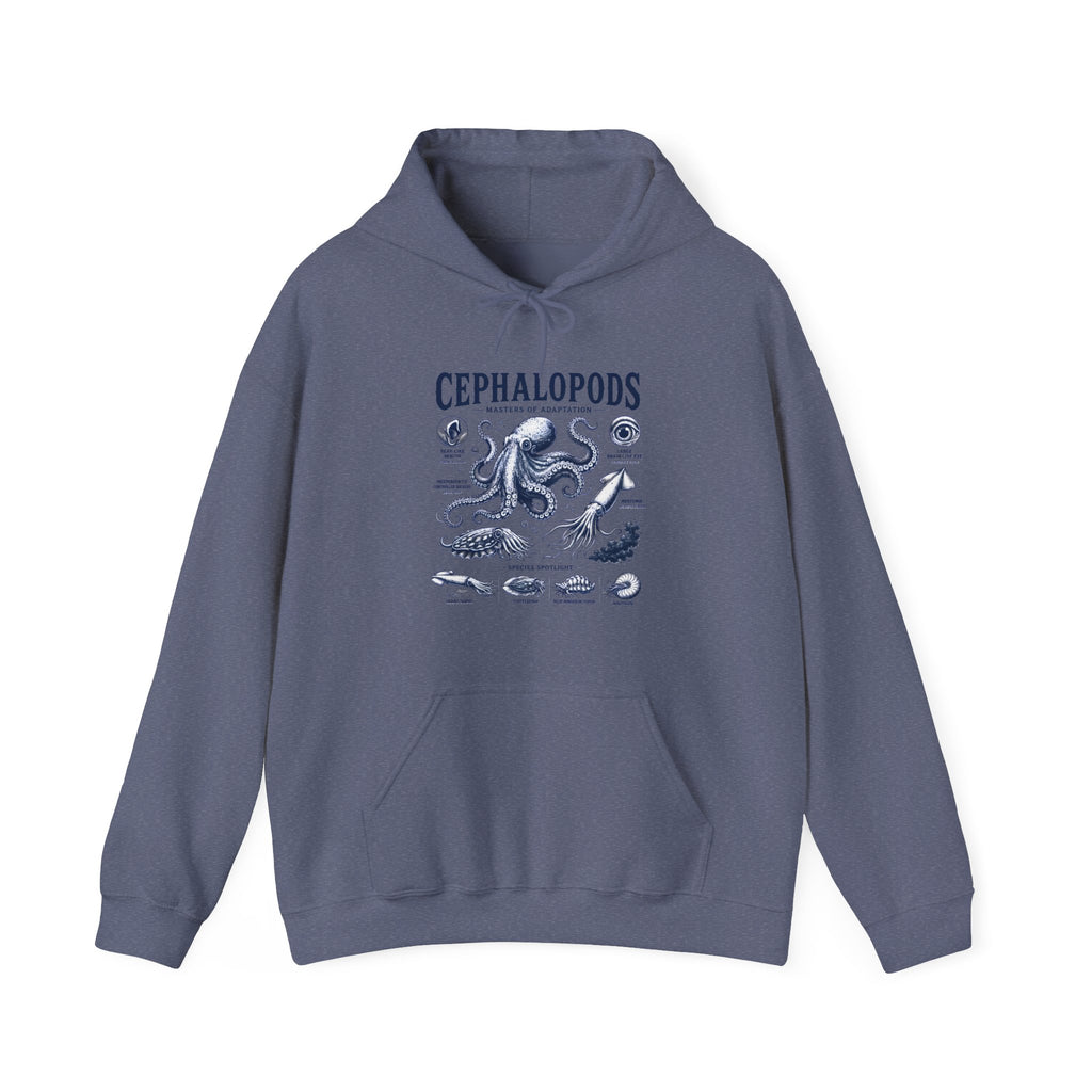 Cephalopods Hoodie — Vintage Marine Octopus Illustration Sweatshirt