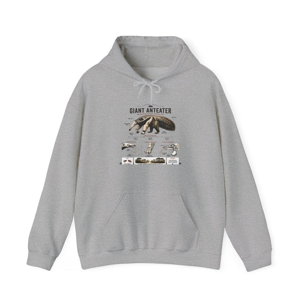 Giant Anteater Anatomy Hoodie — Illustrated Wildlife Diagram Sweatshirt