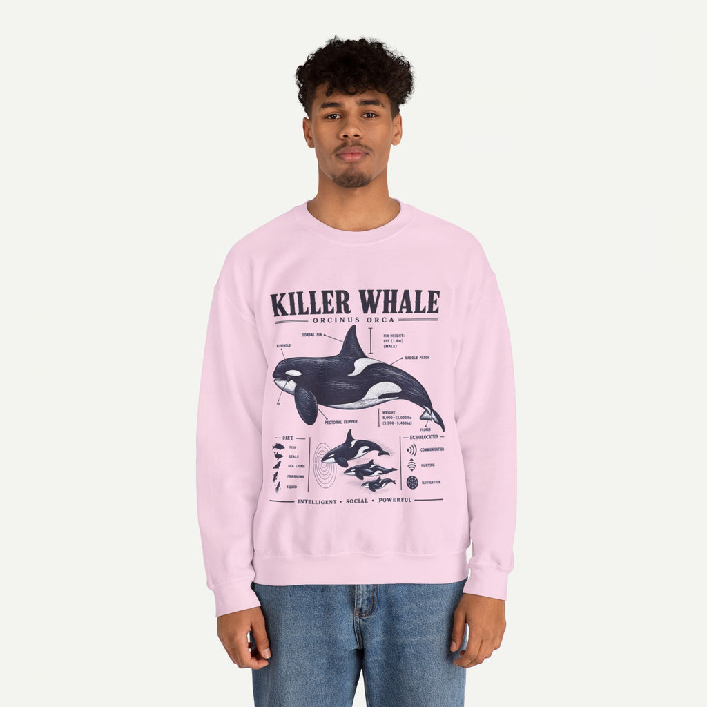 Killer Whale Anatomy Sweatshirt