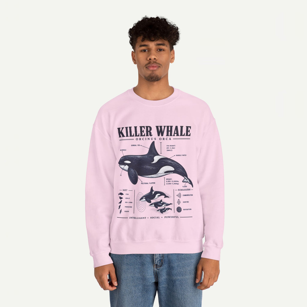 Killer Whale Anatomy Sweatshirt