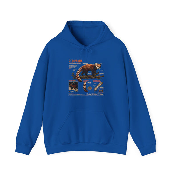 Red Panda Anatomy Hoodie — Vintage Wildlife Guide Sweatshirt