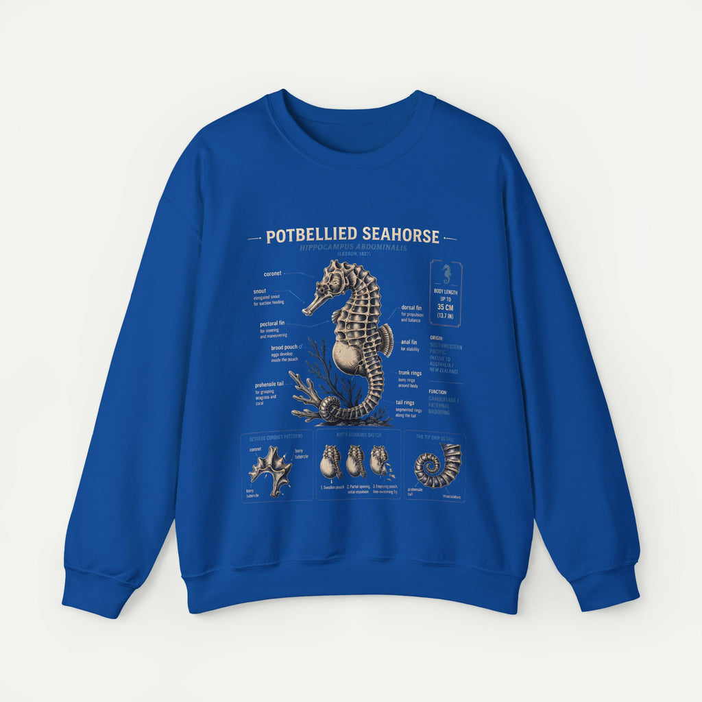 Potbellied Seahorse Anatomy Sweatshirt – Marine Biology Illustration Crewneck