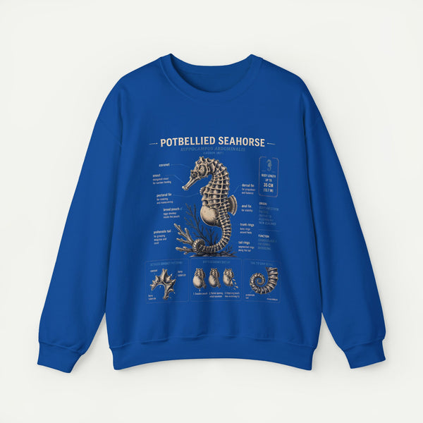 Potbellied Seahorse Anatomy Sweatshirt – Marine Biology Illustration Crewneck