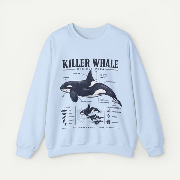 Killer Whale Anatomy Sweatshirt