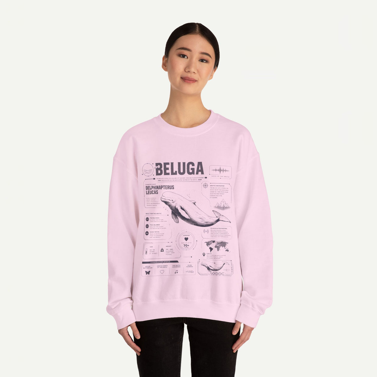 Beluga Whale Anatomy Sweatshirt