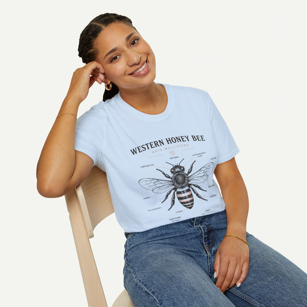 Western Honey Bee Illustration T-Shirt — Apis Mellifera Vintage Bee Anatomy Tee