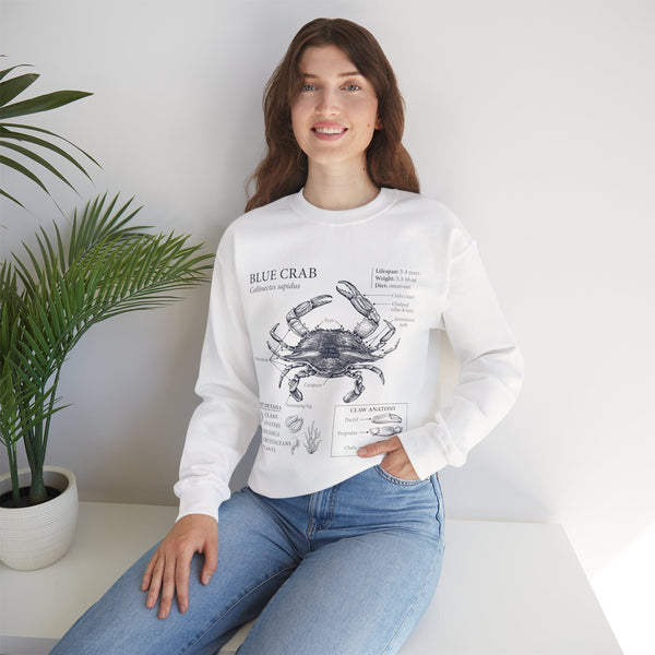 Blue Crab Anatomy Crewneck Sweatshirt – Marine Biology Graphic Pullover