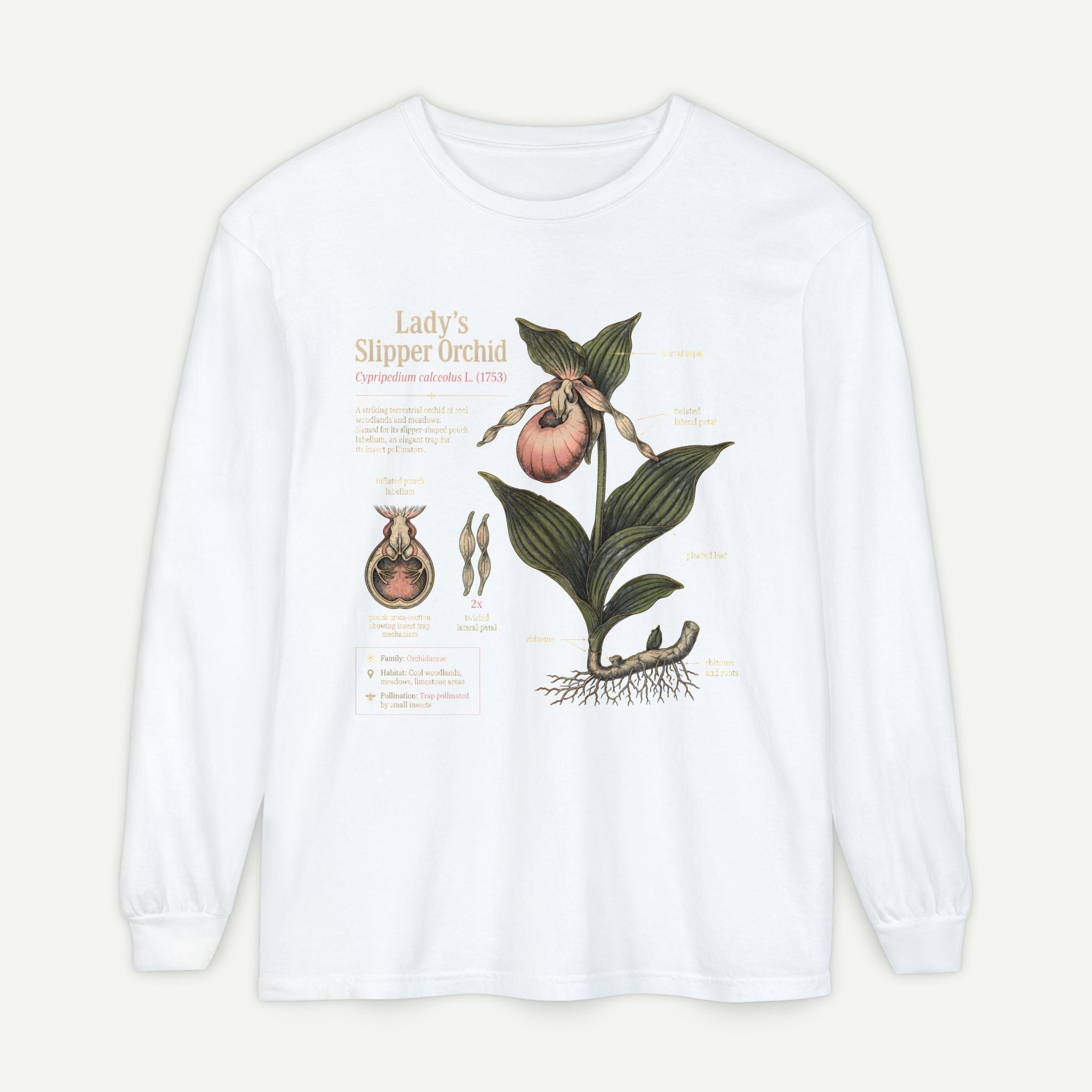 Lady's Slipper Botanical Long Sleeve Tee — Vintage Orchid Illustration Secondary image