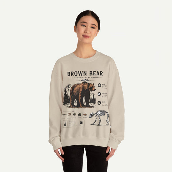 Brown Bear Anatomy Sweatshirt — Wildlife Illustration Graphic Sweatshirt